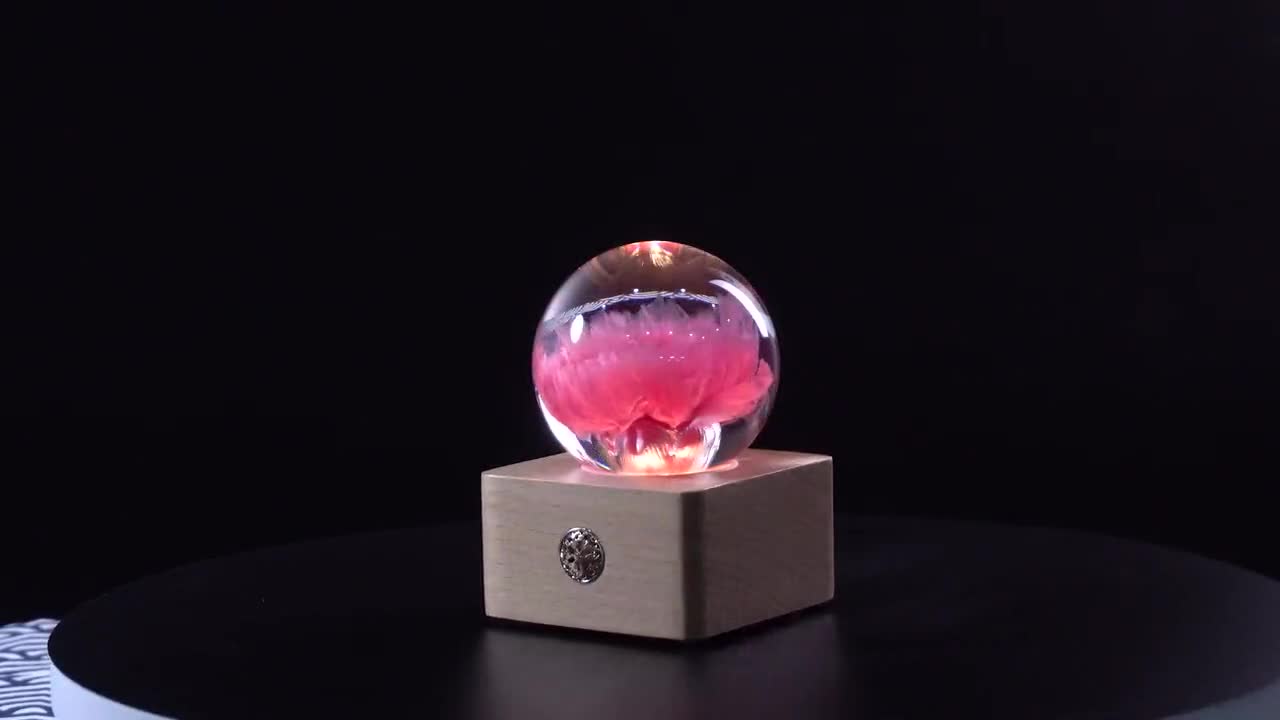 Real Flower Home Decor Carnation Resin Lamp Touch Control Night Light