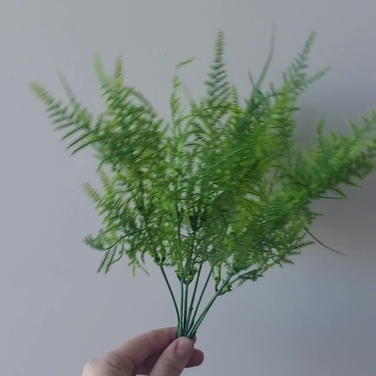 Plastic 2 tone Asparagus Fern bush 
