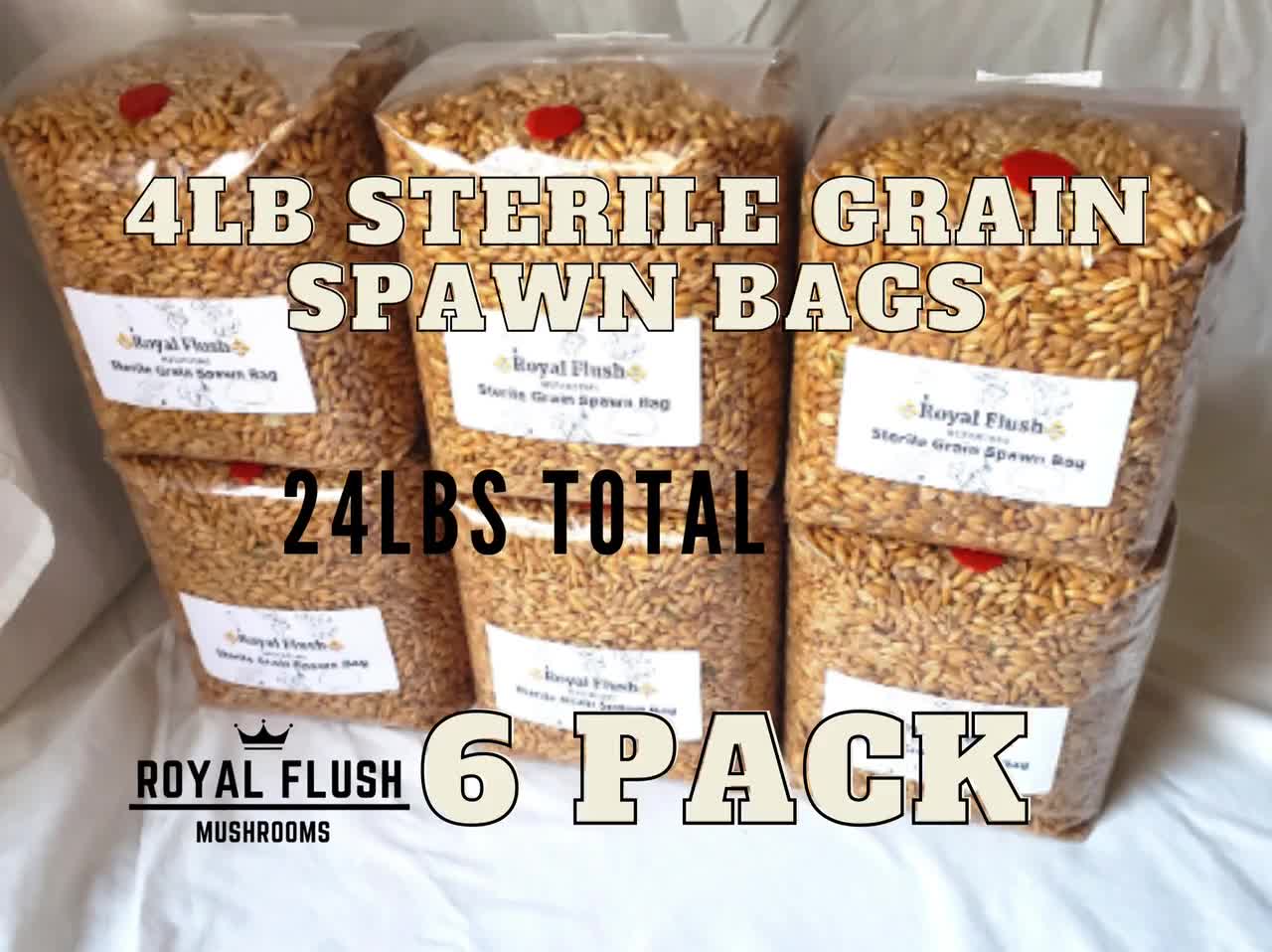 Sterilized Rye Berry Mushroom Substrate Grow Bags with Self Healing Injection Port 6 Pack 