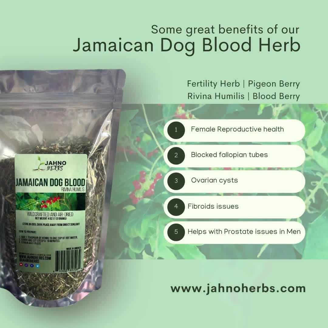 what is dog blood bush good for