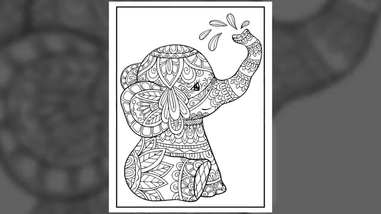 Elephant Mandala Coloring Pages   20 Page Elephant Coloring Book for Adults  and Kids   Printable
