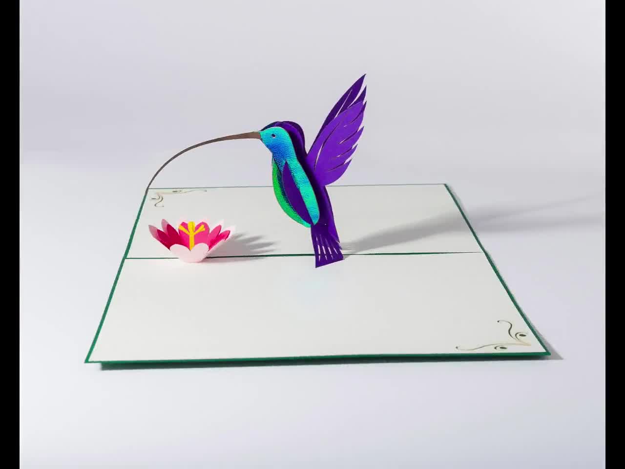 Hummingbird 3D Pop up A5 Card. Green Card With a Laser Cut - Etsy