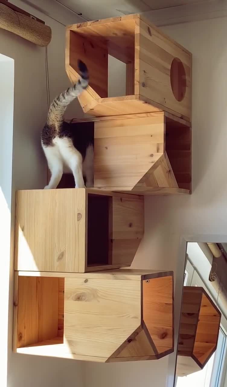 Casa modular de madera para gatos - Etsy México