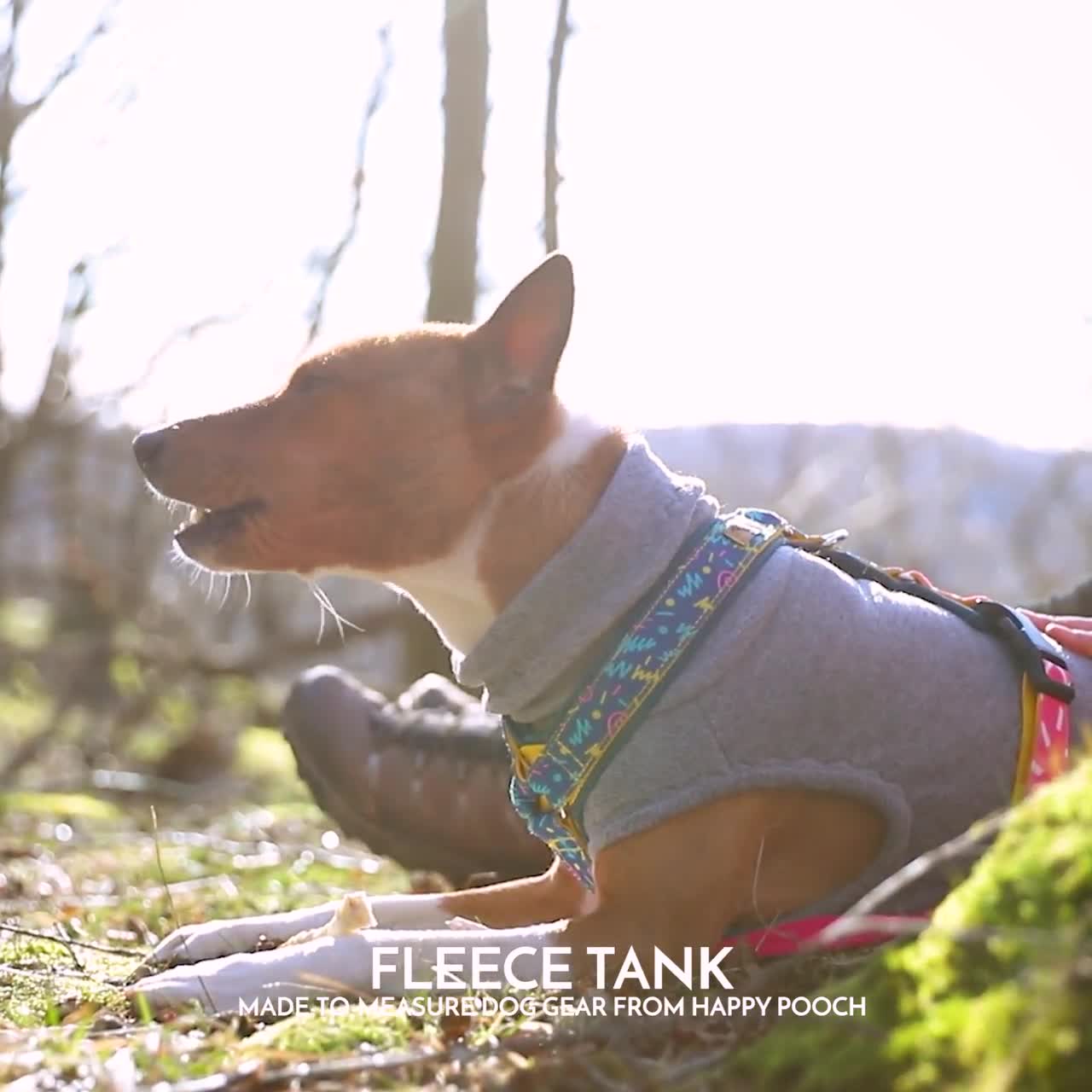 equafleece dog tankie