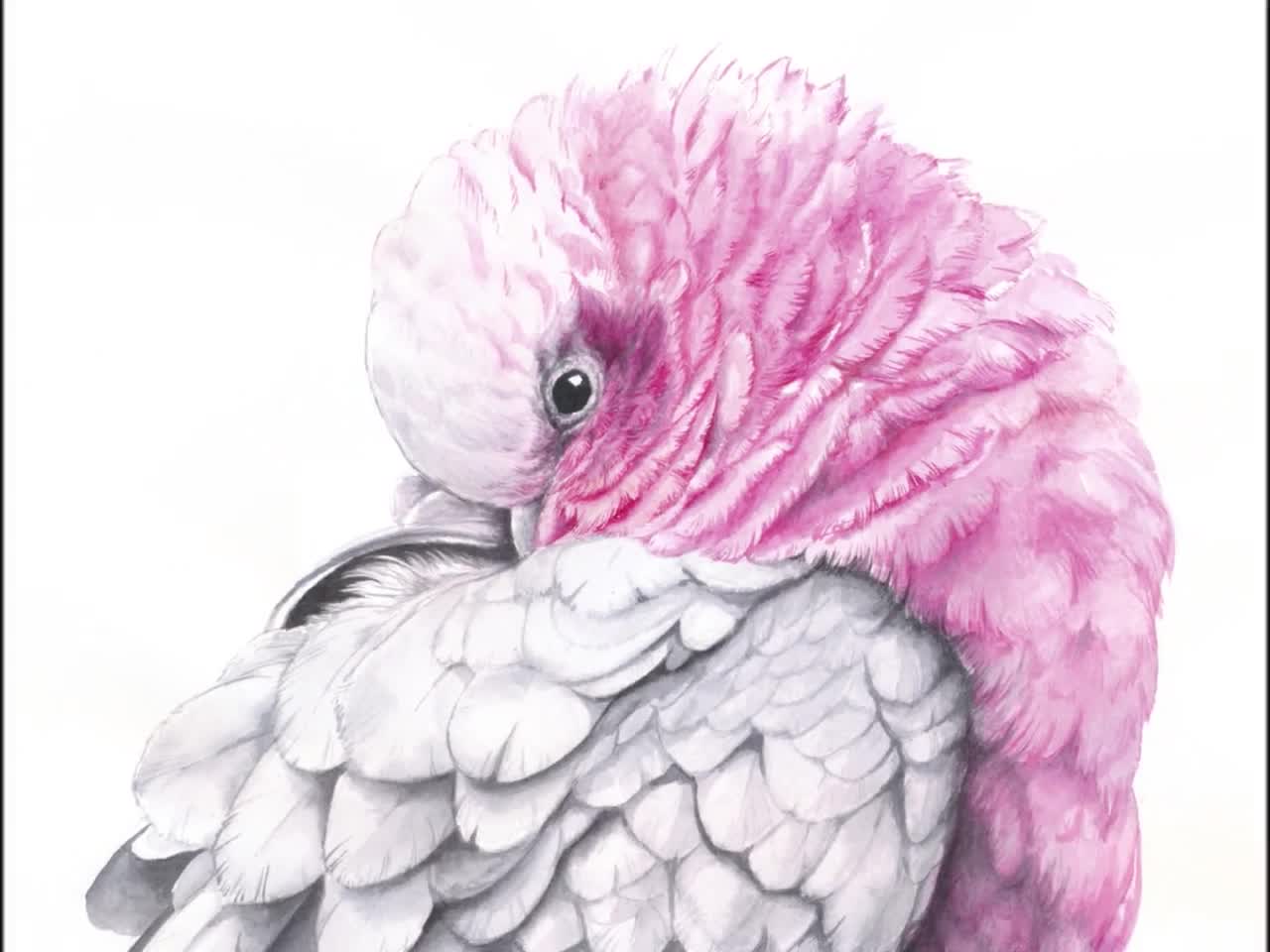 Розовая птичка арт