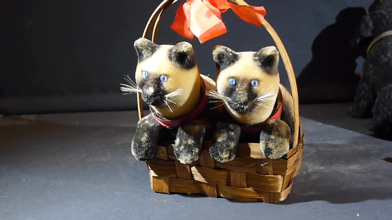 Onhandig Wreed materiaal Hoedenplank Twee Katten in Een Mandje Origineel 60e Jaren - Etsy