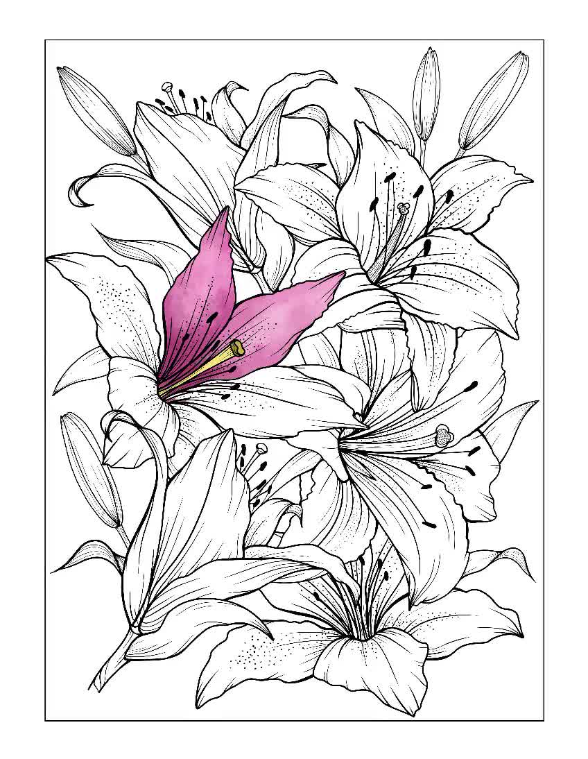 Introducir 105 Imagen Dibujos De Flores Para Colorear Viaterramx 9966