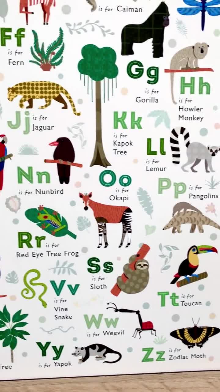 Rainforest Alphabet Art Print Tropical Jungle Animal Nursery - Etsy