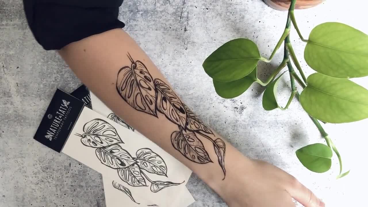 81 Best Monstera Tattoos With Beautiful Designs