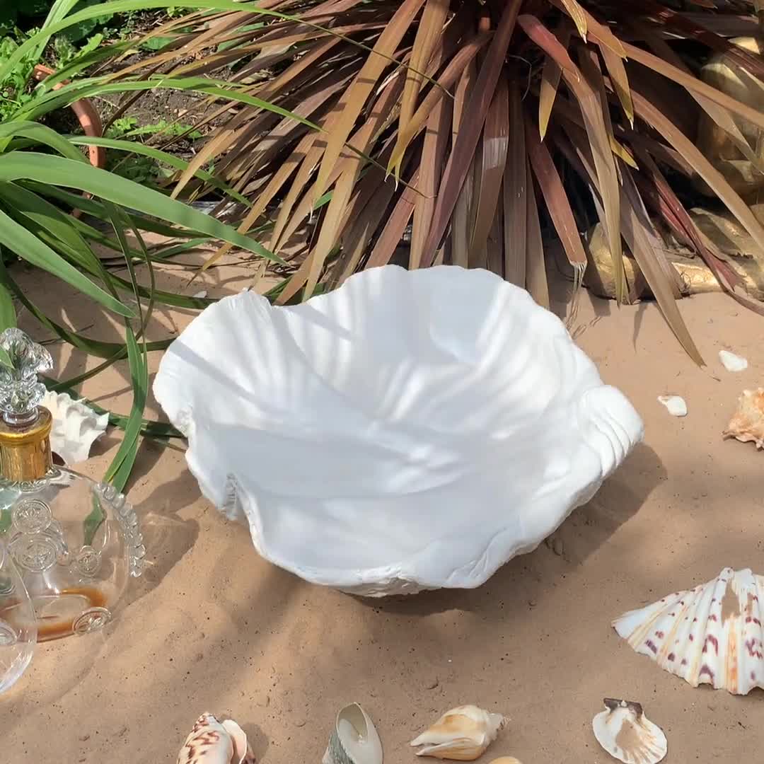 Giant Clam Shell Sculpture in Dripping White  Home   Ornament Bowl Xmas Gift 