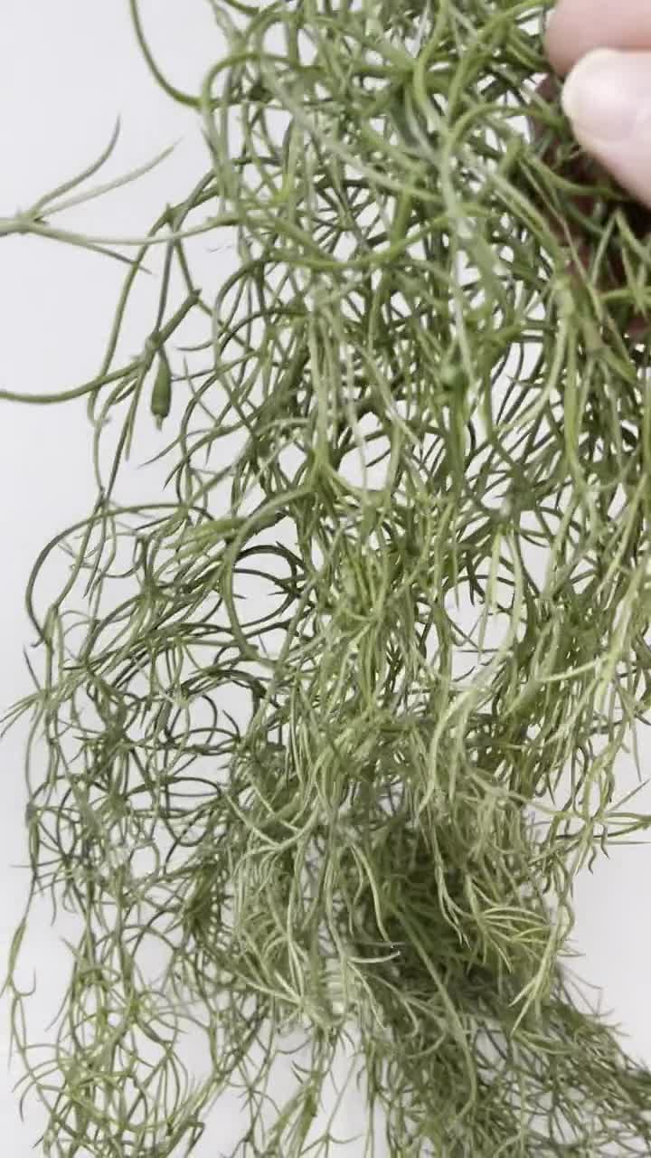 51 Large Artificial Spanish Moss Hanging Bush in Natural Gray-Tillandsia-Faux Air Plant-Everyday Greenery-Artificial Foliage-Floral Supply