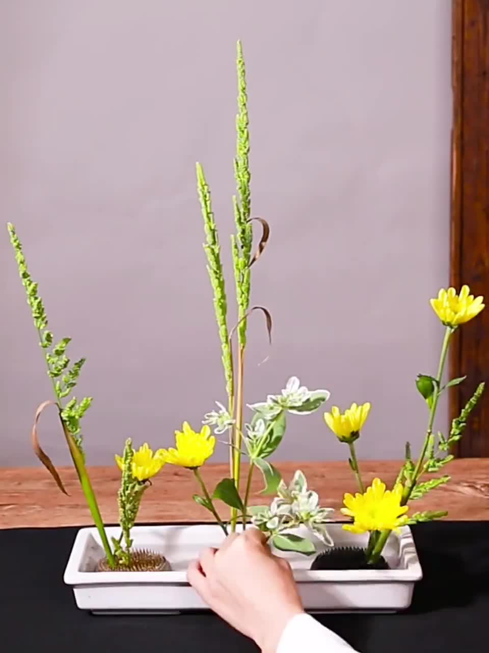 Ikebana Kenzan Blume Frosch # 5 5,2 cm Rechteck Messing 