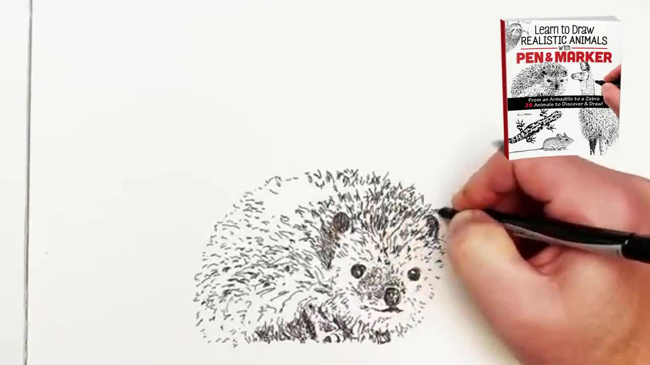 Book: Learn to Draw Realistic Animals With Pen & Marker How - Etsy Australia