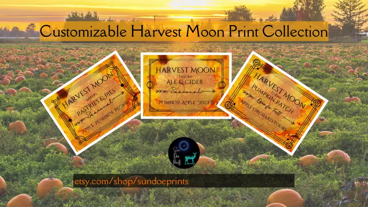 harvest moon pumpkin patch