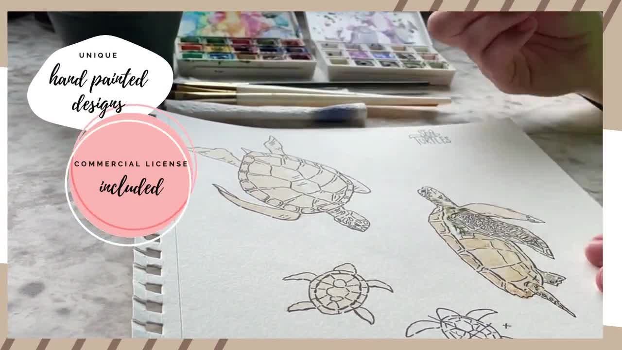 Commercial Use License PNG Sea Turtle Watercolor Clip Art Hand Drawn Hatchling Clipart Illustration Animal Nature Sublimation Design