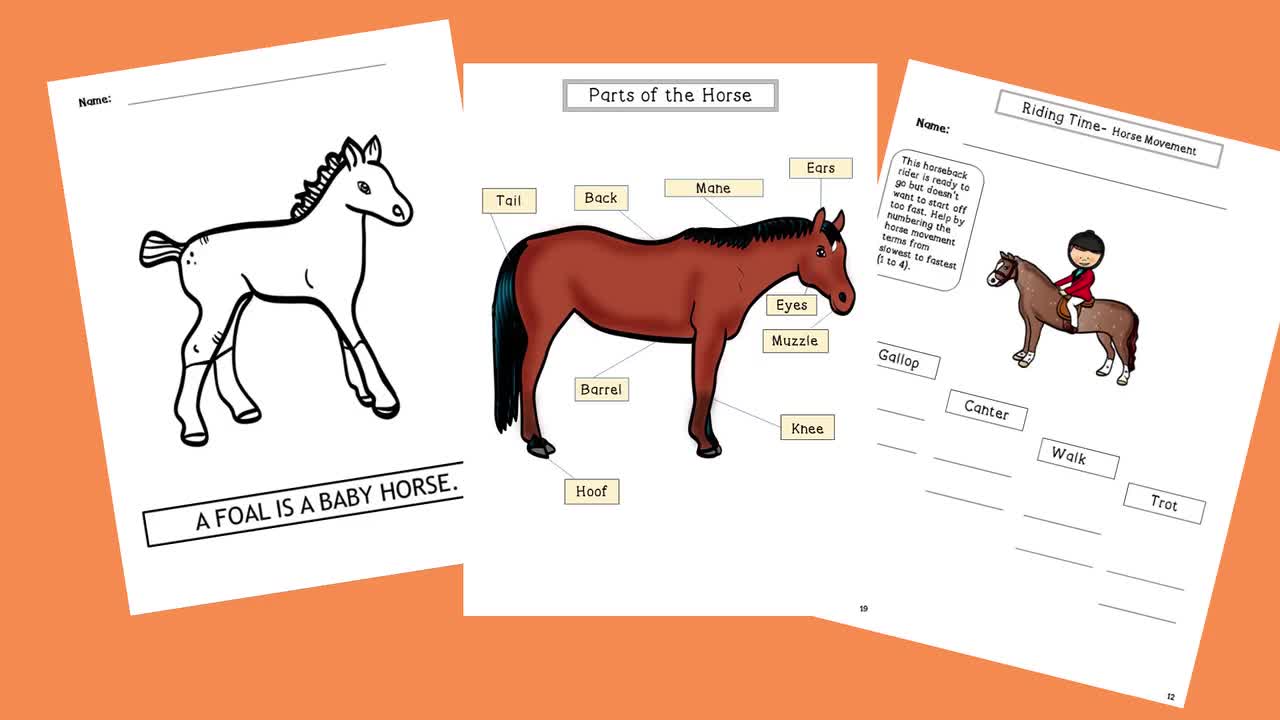 printable horses and ponies unit study literature based unit etsy