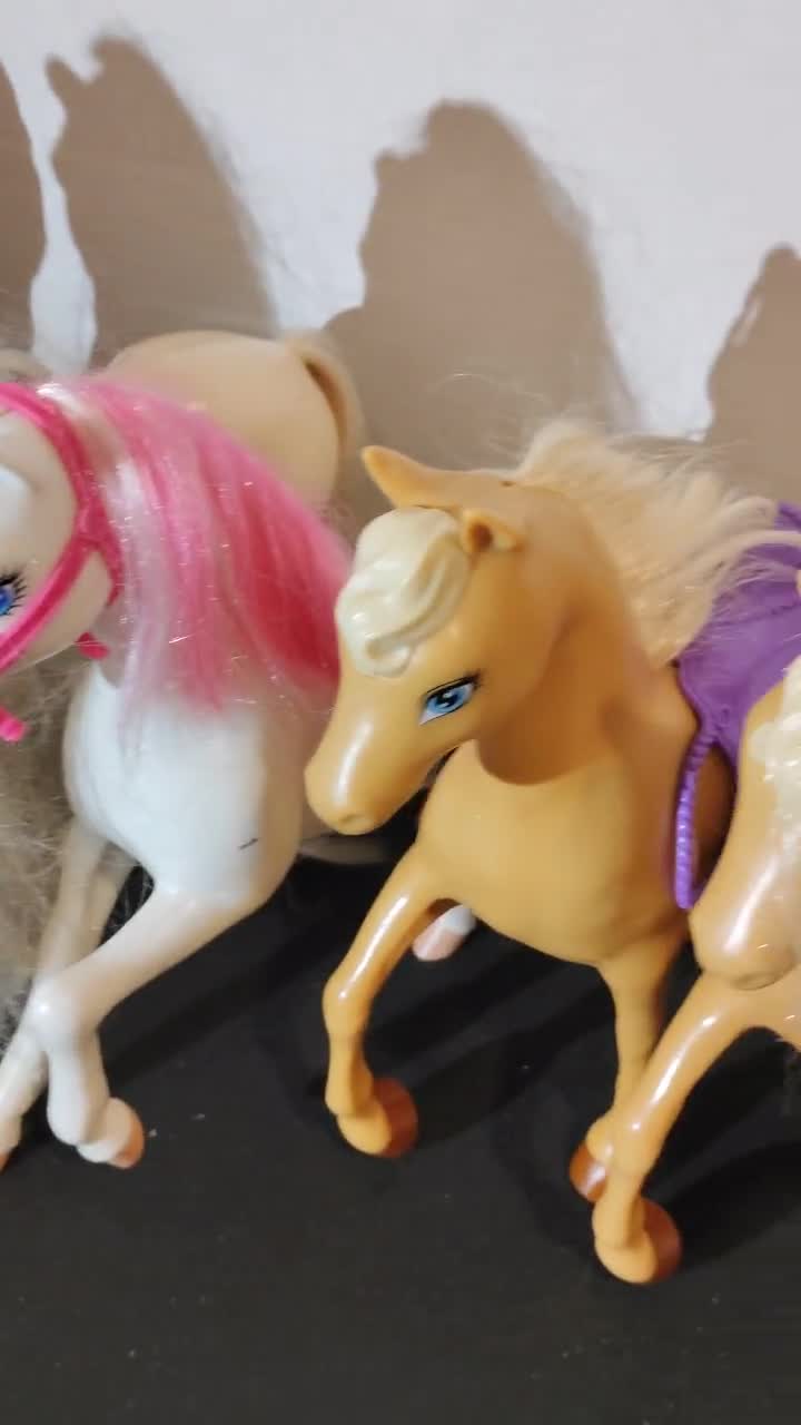 Omhoog actie blijven Barbie en onze generatie Accessoires paarden - Etsy België