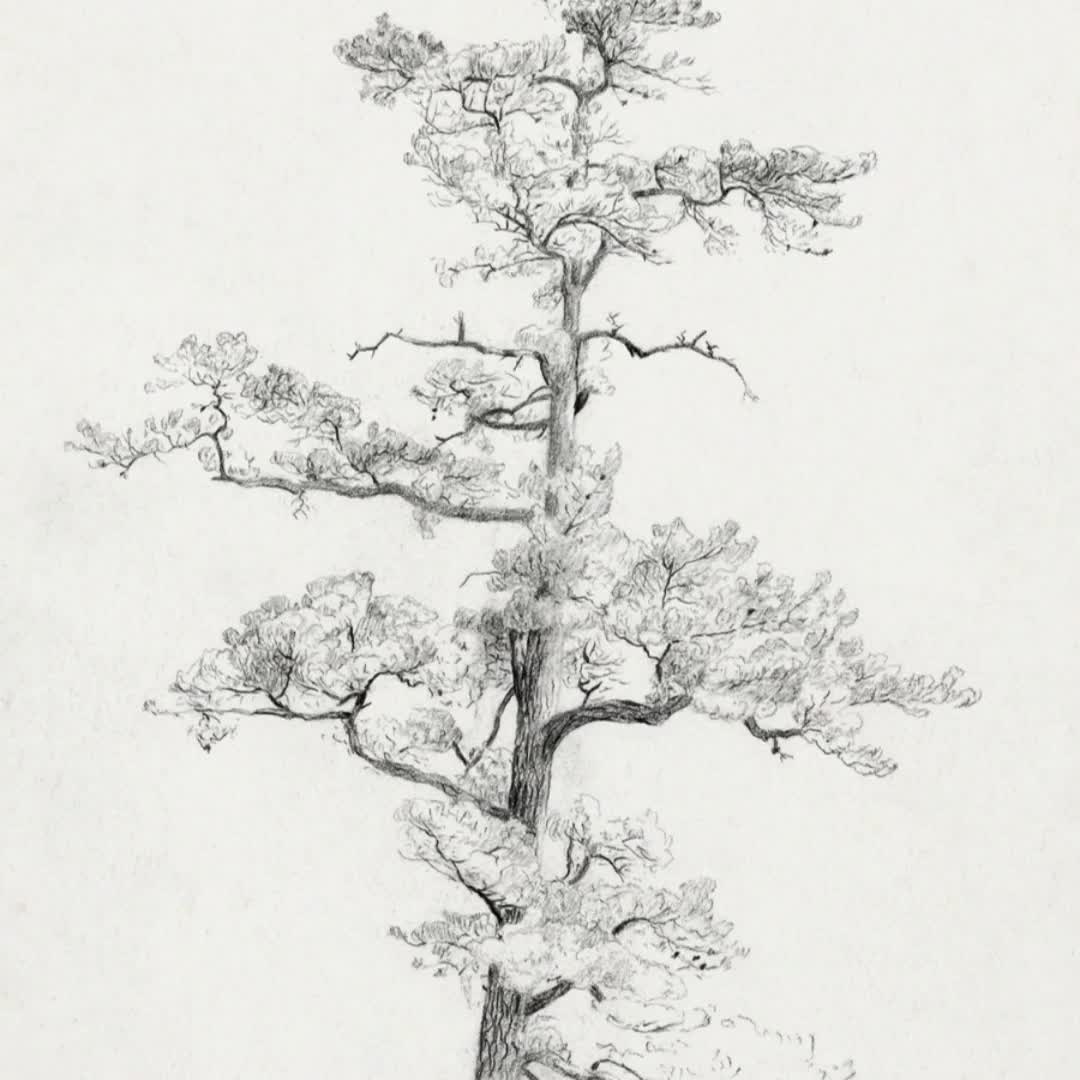 Neutral Antique Pine Tree Drawing Vintage Sketch Art Soft Decor Printable Art Download