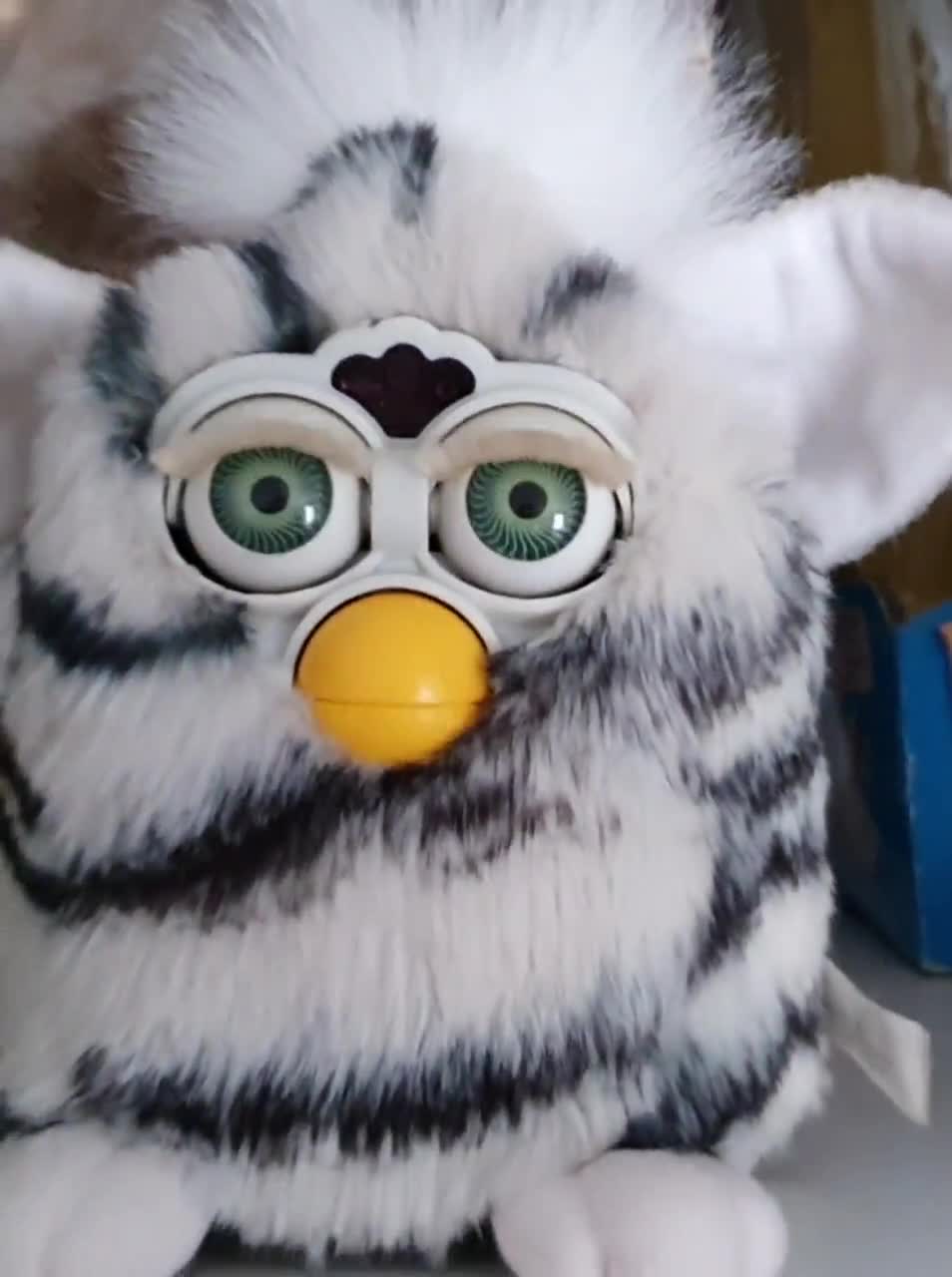 furby zebra