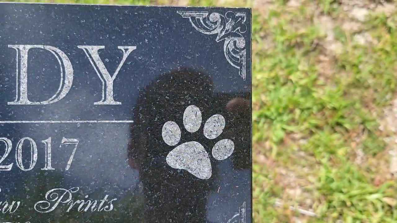 MacAi DIY Pet Memorial Garden Stone for Kids Color Teens and Adults Say Goodbye Your Way Personalized Words Paint a Unique Message from Your Heart for Loved Pet Memorial Garden Stone 
