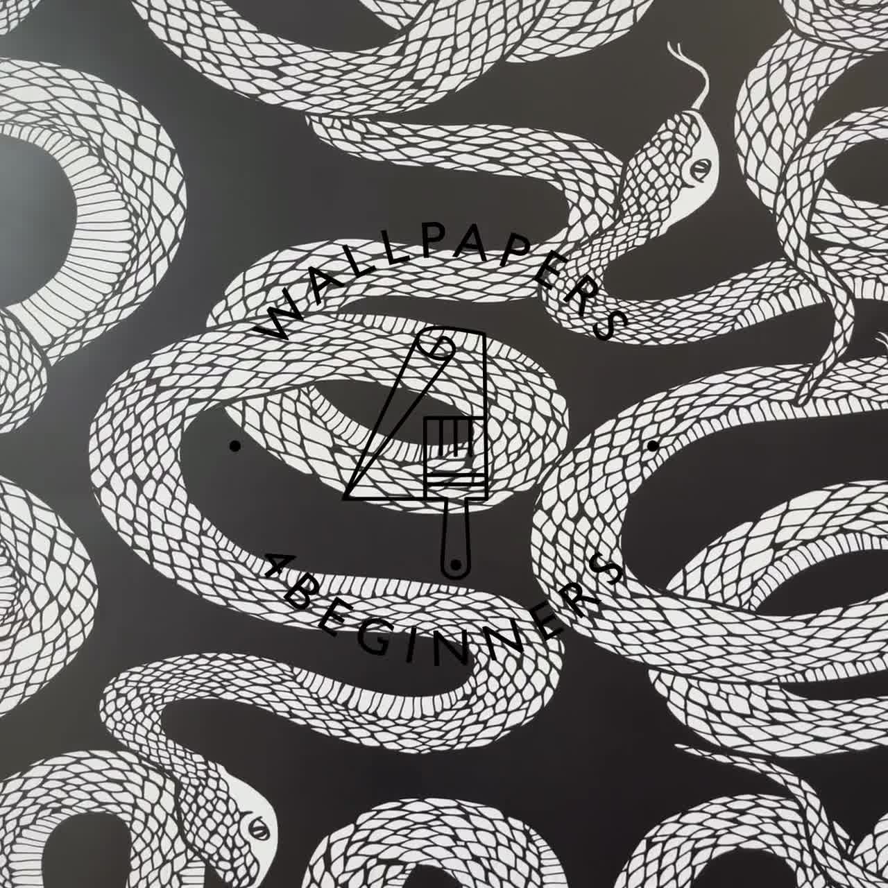 Black and White Snake Wallpaper Ouroboros Print Textured Wall - Etsy Norway