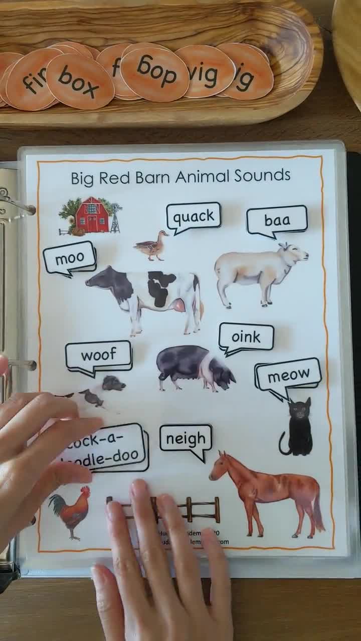 Animal Sounds Matching Farm Animals Busy Binder Preschool - Etsy Ireland