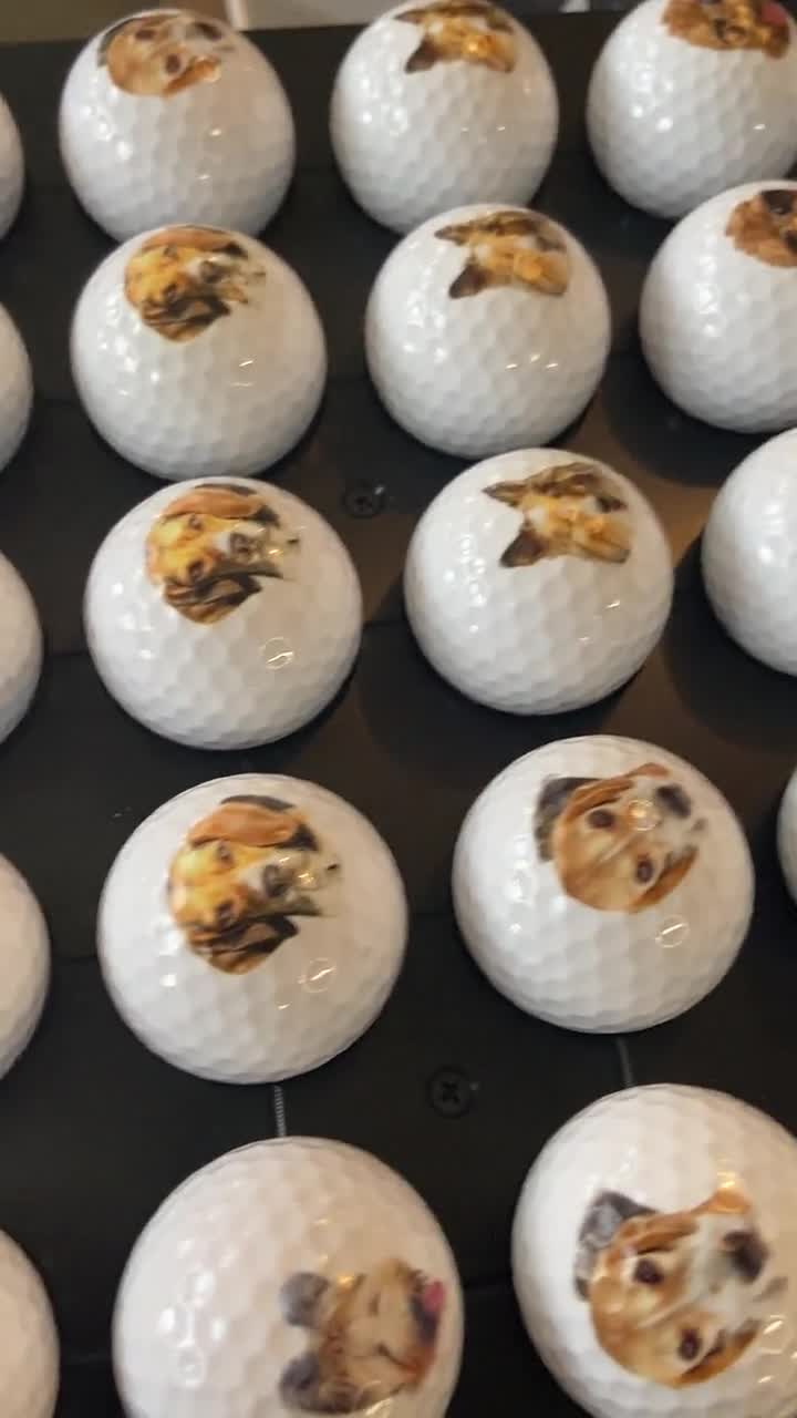 golf ball in cat food dish