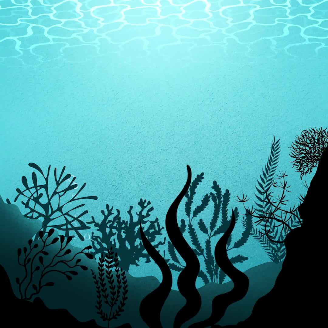 Ocean Animals Underwater Procreate Brushes Procreate Ocean Bundle