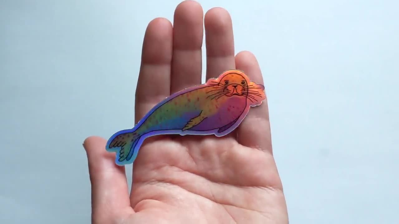 marine mammal art ocean animal gift wildlife laptop decor Seal sticker vinyl animal holographic sticker