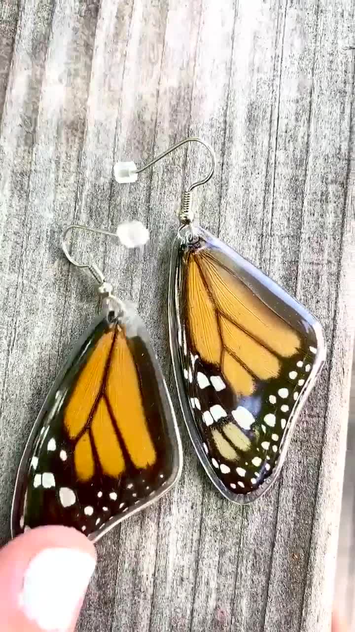 REAL Monarch Glassy Tiger Butterfly Wings Earring Jewelry 925 Sterling Hook 