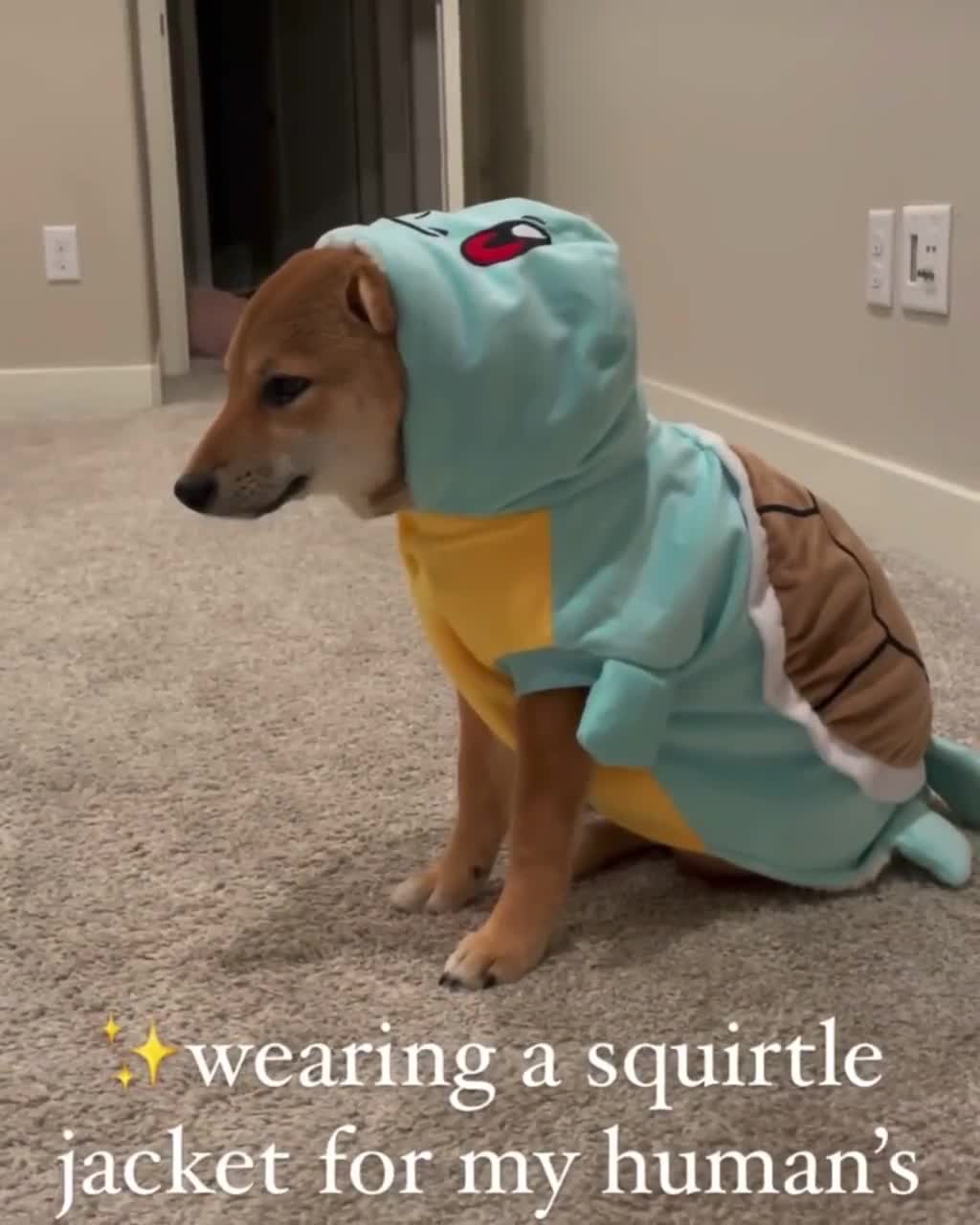 Disfraz De Perro Squirtle Traje Pokémon Para Mascotas Ropa México |  