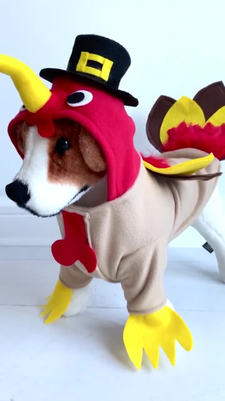 Balacoo Thanksgiving Dog Costume Dog Turkey Costume Outfit Thanksgiving Party Dress Up for Pet Dog Puppy Size 2